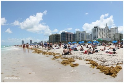 miami-13.jpg