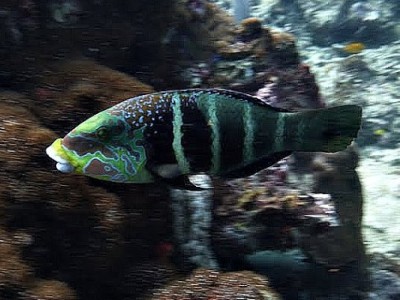 P1080208.JPG