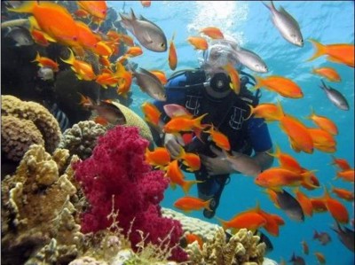 red sea 1.jpg