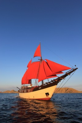 IMG_7870.JPG