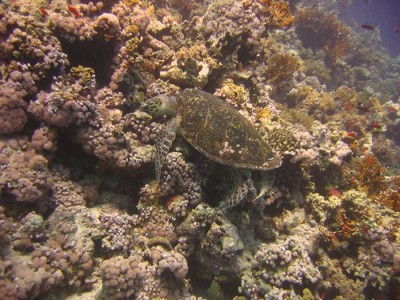 IMG_2563sm.jpg