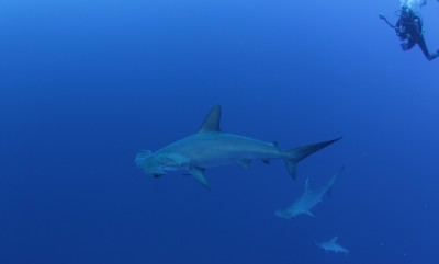 IMG_7777.jpg