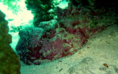 P1110756 - Copy.JPG