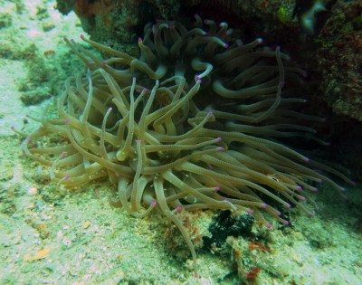 web_bupubaca_2014-01-19_048.jpg