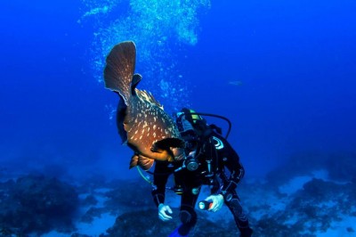 1525029_10151888882600918_931995004_n[1].jpg