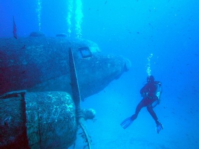 PA310125_small.jpg