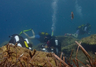 DSC_8098_tetis.jpg