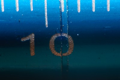 DSC_1637.jpg