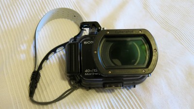 IMG_1822 (800x450).jpg