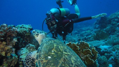 059 (700x394).jpg