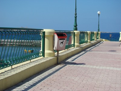 DSC01862-1.JPG