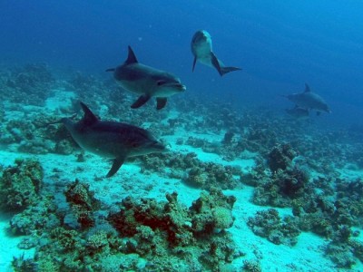GOPR0274aa.jpg