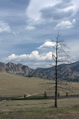 IMG_0669.jpg