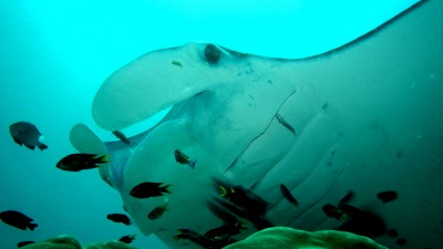 DSC04282.jpg
