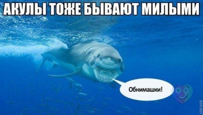86eugFqG-bE.jpg