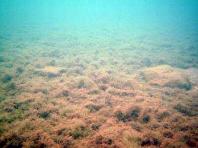 PICT0061.jpg
