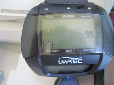 comp 008.jpg