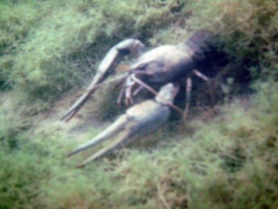 PICT0019.jpg
