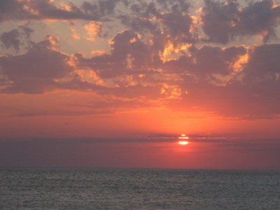 IMG_0048.jpg