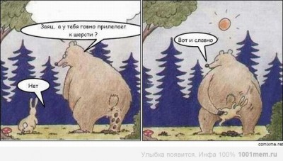 медвед и заяц.jpg