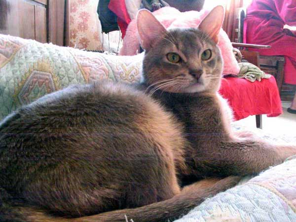 IMG_2361zaw.jpg
