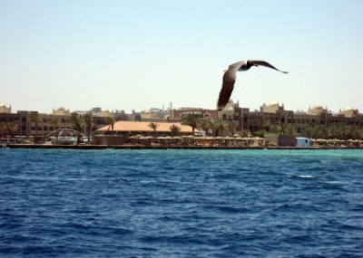 IMG_0642aaa.jpg