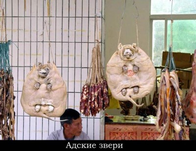 Адские зверушки.jpg