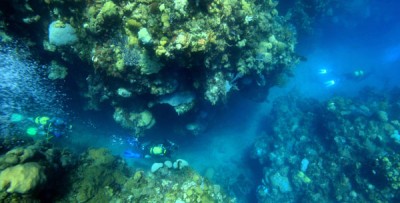 IMG_1013.JPG