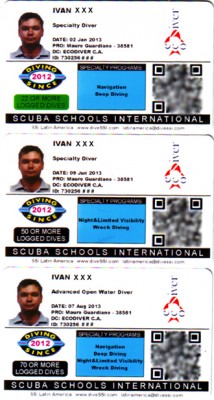 SSI_cards.jpg