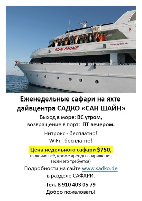 sadko-reclama 2.JPG