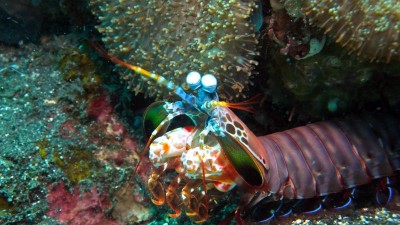 DSCF2742_1.jpg