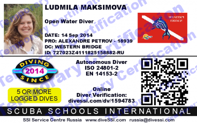 pview_tempccard.png