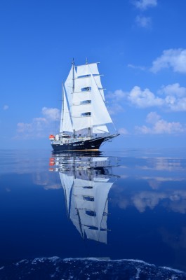 DSC_77778.jpg