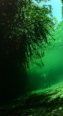 DSC_9690nn.jpg