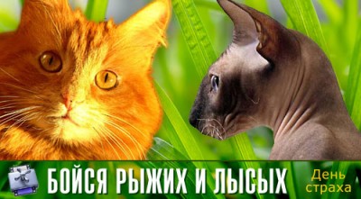 d8a38dfae8bdb59832024ef483250c9f_fiear.jpg