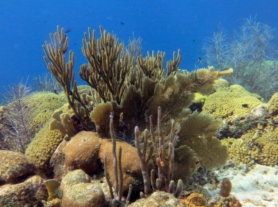 tetis50%_img_4744.jpg