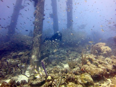 50%_img_5097.jpg