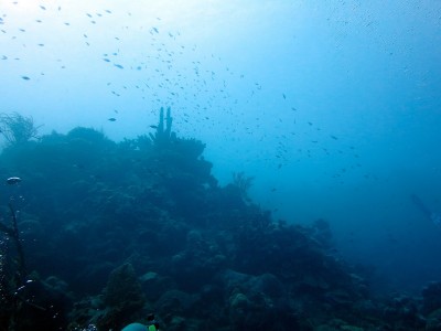 50%_img_5656.jpg