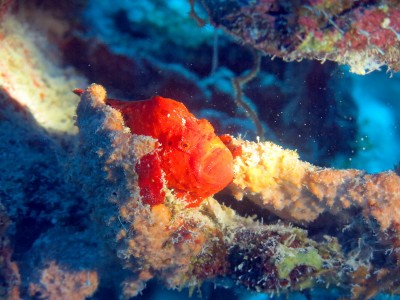 50%_img_5651.jpg