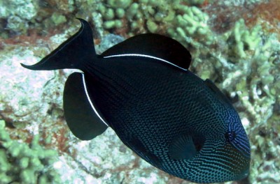 50%_img_5861.jpg