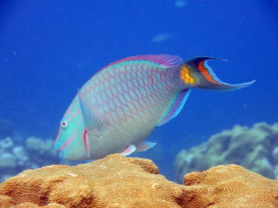 50%_img_6416.jpg