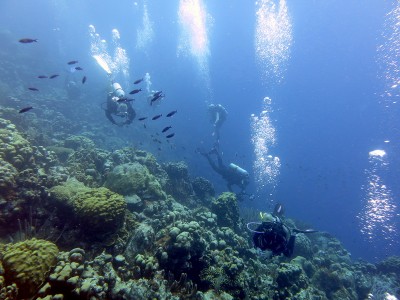 50%_img_6163.jpg