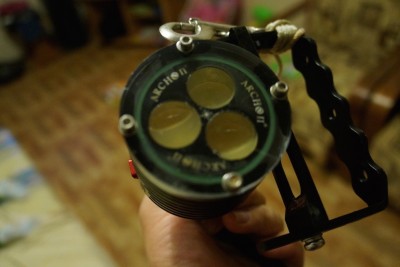 image2.JPG
