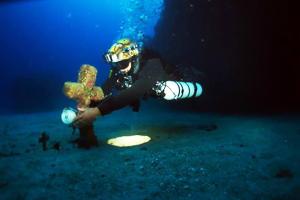 Pal Mar 6.jpg