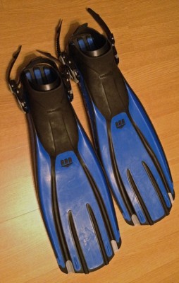 IMG_Mares.jpg