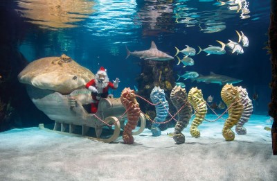ScubaSanta.jpg