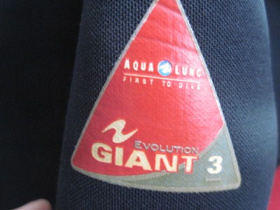 giant 004.jpg