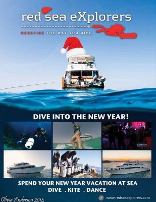 RSE-NY-advert.jpg