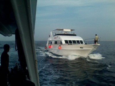 IMG0439A.jpg