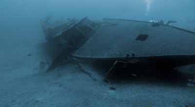 1907992_10205064243381226_5664513702801659446_n[1].jpg